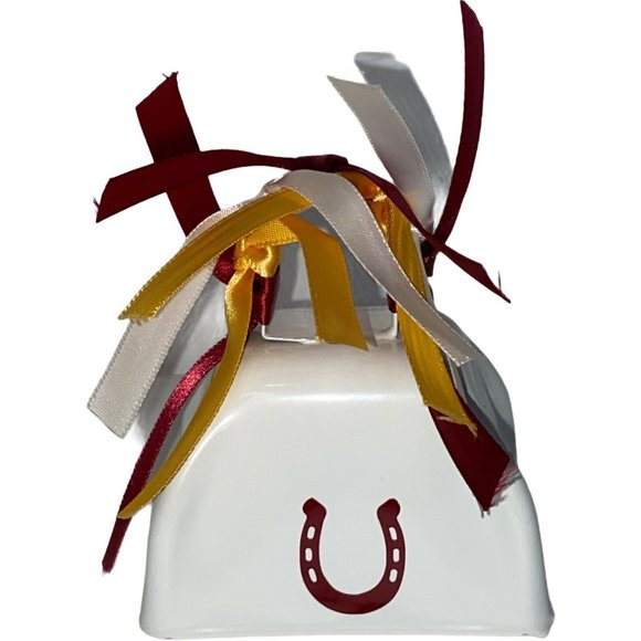 Go Broncos NFL Football Team Cow Bell Fan Handmade - Picture 2 of 8